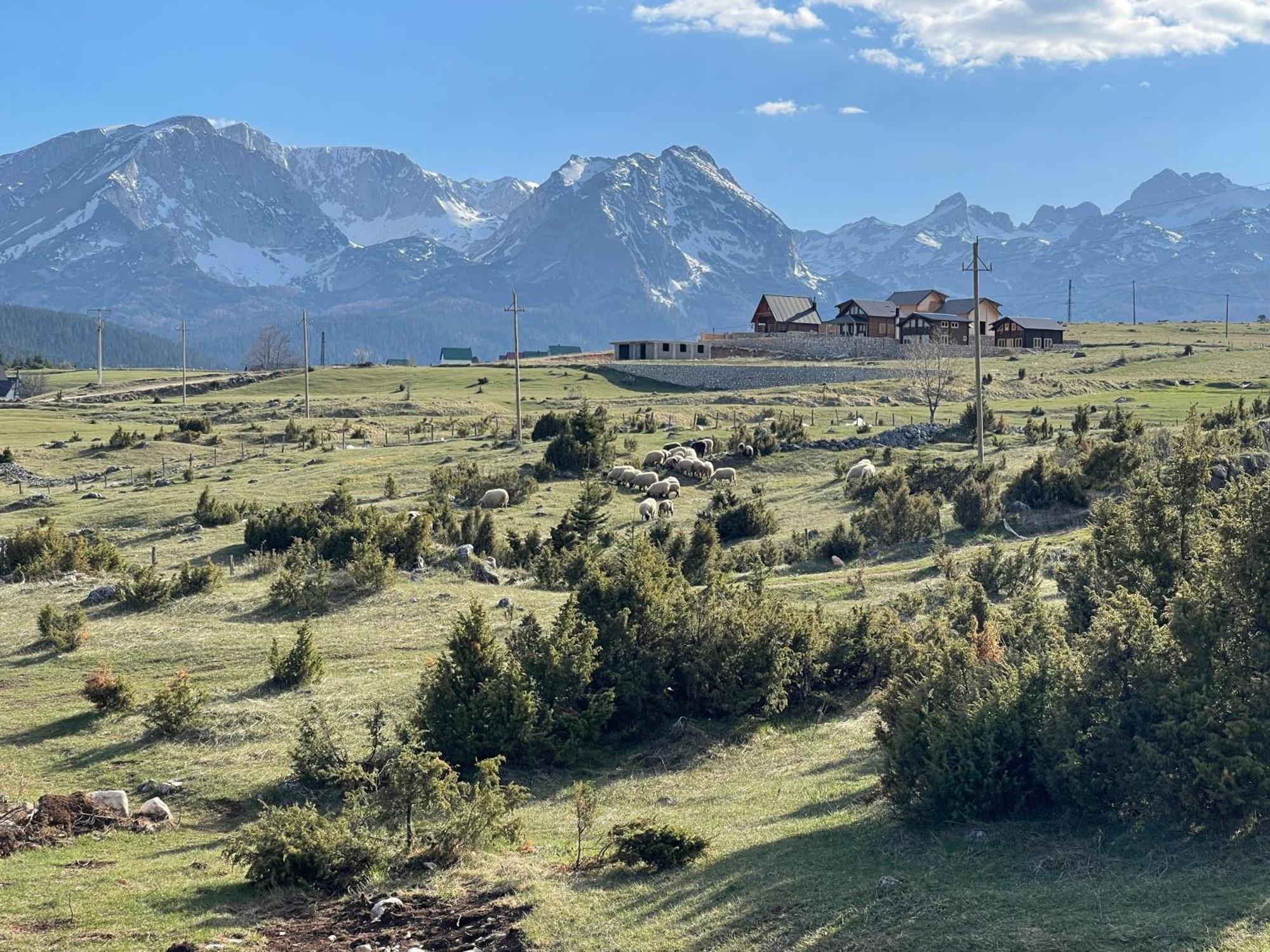 Peaksview Chalets Zabljak  Luaran gambar